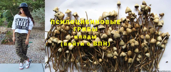 мет Алексин
