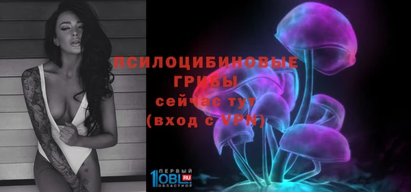 прущие грибы Алексеевка