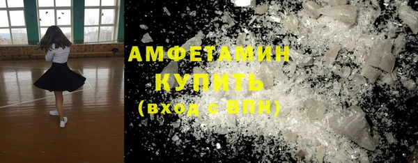 мет Алексин