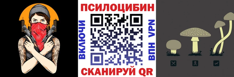 Галлюциногенные грибы Psilocybe  где купить наркоту  Жуковский 